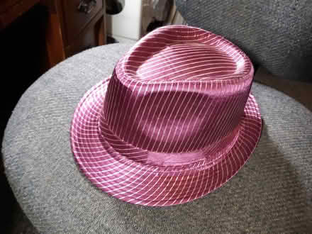 Photo of free Screamiing pink trilby (Cambridgeport, near Dana Park) #1