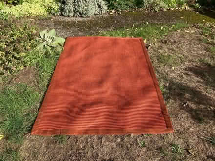 Photo of free Area Rugs (3) (Fremont) #1