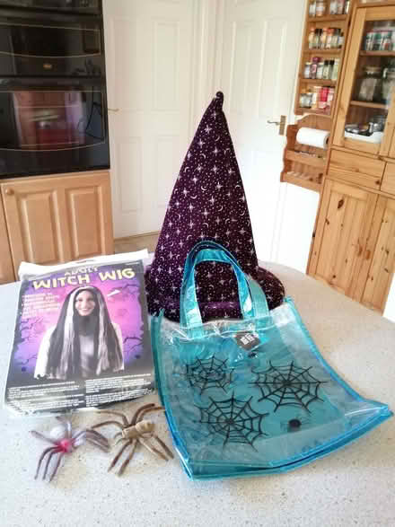 Photo of free Halloween items (Stonehouse GL10) #1