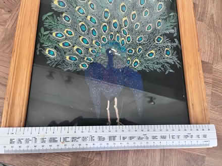 Photo of free stitched peacock in frame. (Downley HP13) #1
