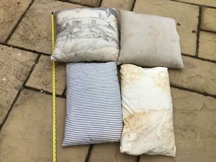Photo of free 4 x Old Feather Pillows / Cushions (CV22 Bilton) #3