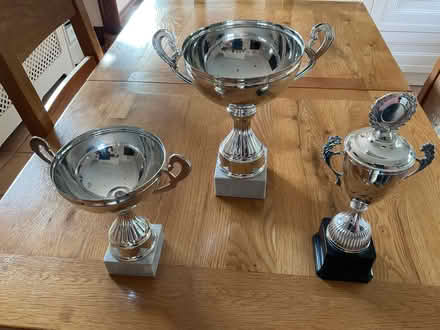 Photo of free Trophies (Southminster CM0) #1