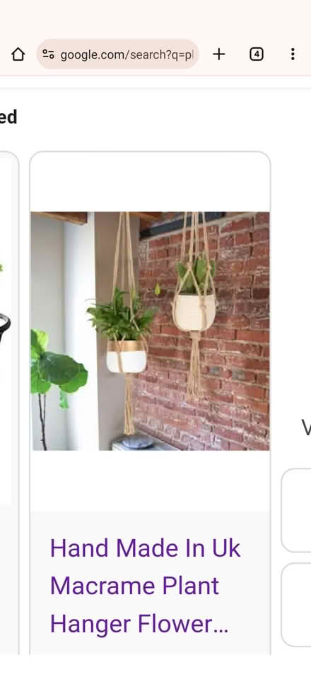 Photo of Winter plants or hanger pots (Barnard's Green WR14) #1