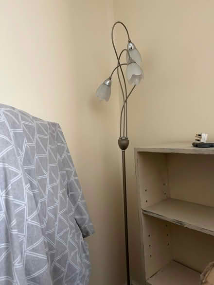 Photo of free Tall lamp (LS12 3 near Aldi Tong Road) #1
