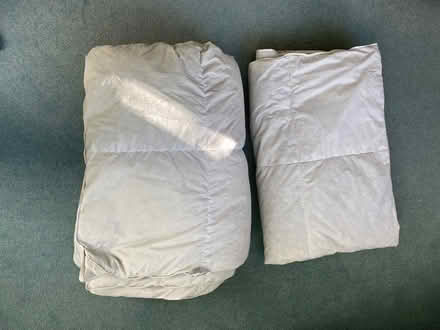 Photo of free Single duvets (Bosham) #1