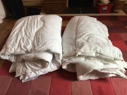 Photo of free 2x Single Duvets (Jesmond NE2) #3