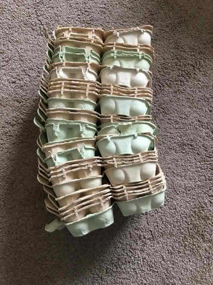 Photo of free Egg Cartons (Ashton-on-Ribble PR2) #1