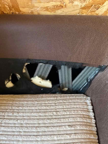 Photo of free Sofabed (Bowbrook) #2