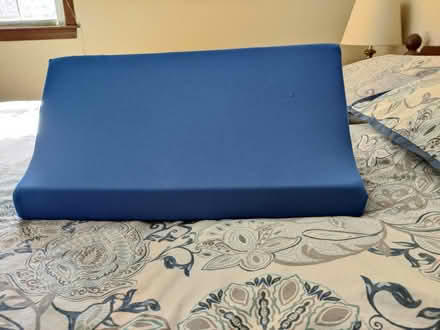 Photo of free Wedge Pillow (Acton) #1