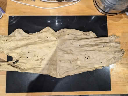 Photo of free Chamois leather (Aldrington BN3) #2
