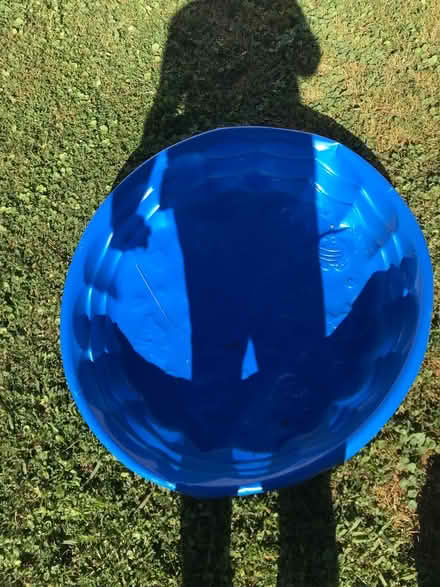 Photo of free Baby pool (Leedom, Ridley park) #1