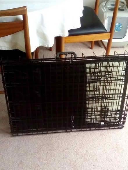 Photo of free Pet Cage (DA13) #2