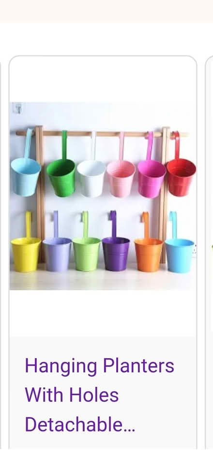 Photo of Winter plants or hanger pots (Barnard's Green WR14) #2