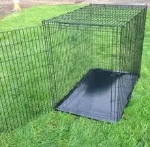 Photo of free large folding dog crate (Brighton Hill Basingstoke) #4