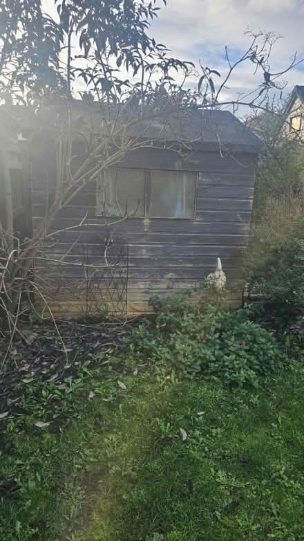 Photo of free Garden shed (Bampton, OX18) #1