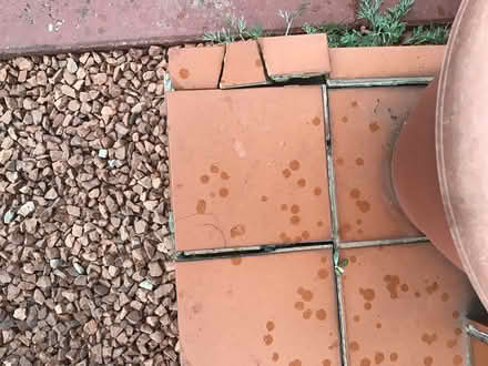 Photo of Terracotta tiles (Bootle L20) #1