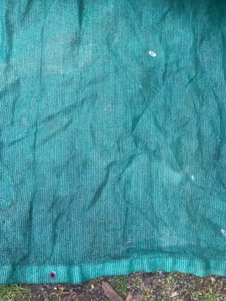 Photo of free Netting - for garden/allotment? (Great Dunmow CM6) #2