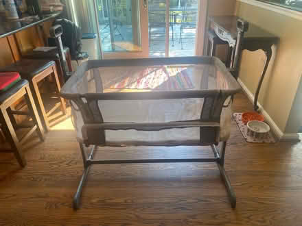 Photo of free Come and get them (Montgomery Village) #2
