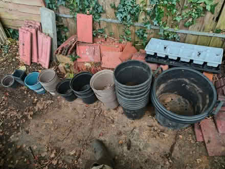 Photo of free Garden plants pots (Widmore BR1) #1