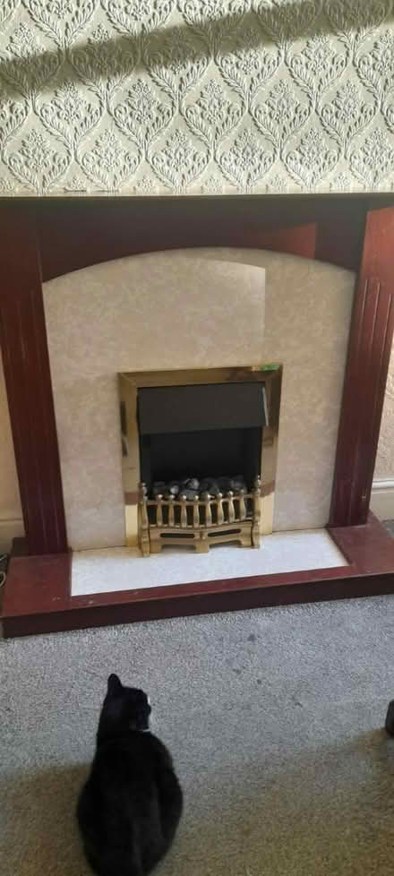 Photo of free Electric fire (M16) #1