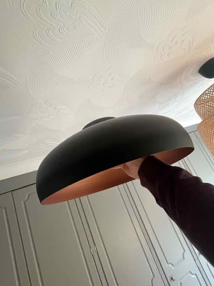 Photo of free Ceiling light shade (Orpington BR6) #2