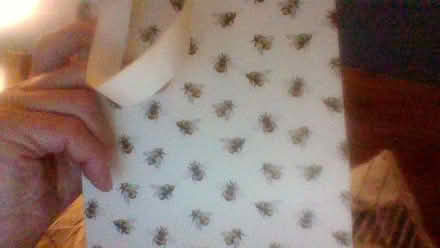 Photo of free cute gift bags (Globe Town E2) #1