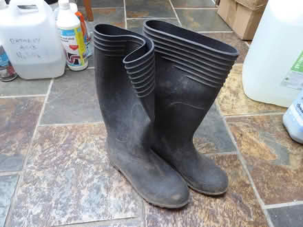 Photo of free Pair Wellington boots (Nailsworth) #1