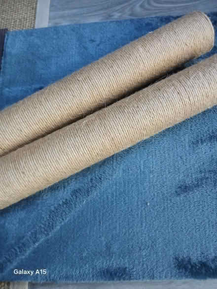 Photo of free Cat scratching post brand new (Seven dials) #3