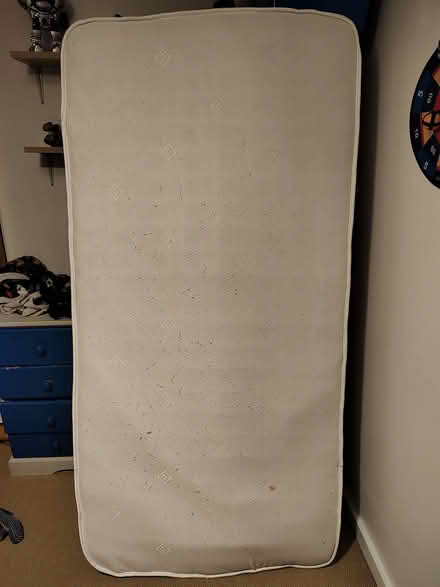 Photo of free single mattress (Wellington TF1) #3