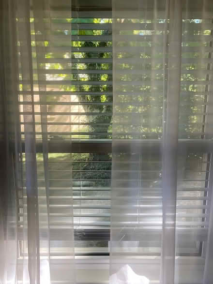 Photo of free Blinds (Ann Arbor) #1