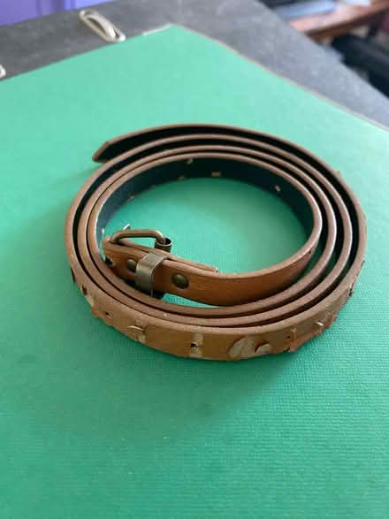 Photo of free Belt (Herne Hill, SE24) #1