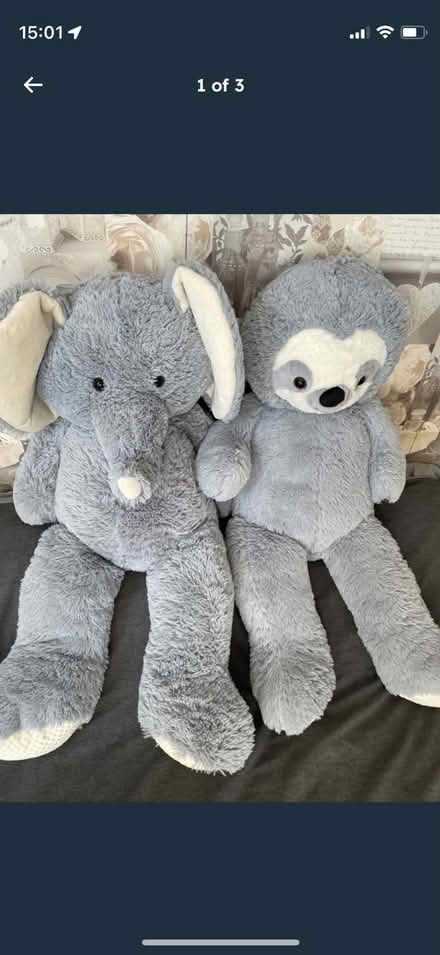 Photo of free 2 x large teddies (Middleton LS10) #1