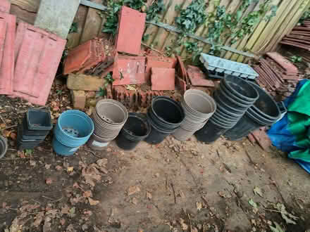 Photo of free Garden plants pots (Widmore BR1) #2