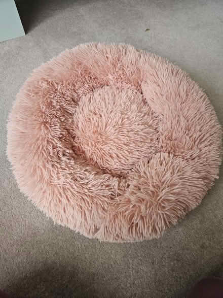 Photo of free Dog/ Cat bed (small) (Ealing Broadway, W5) #1