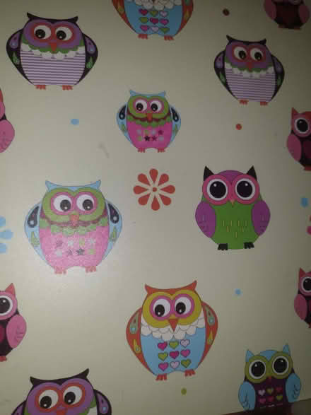 Photo of free Set of 6 owl placemats, plastic coated (E8) #2