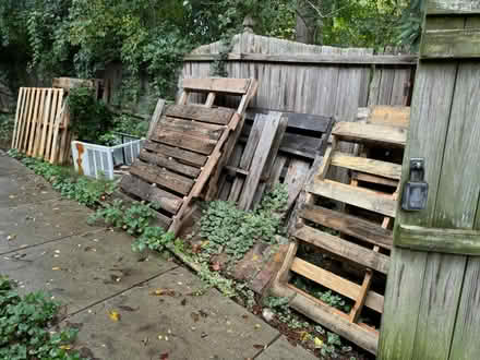 Photo of free Pallets (Kensington, MD) #1