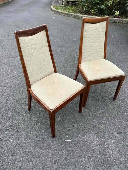 Photo of free Pair of Dining chairs (Horfield Bristol) #2