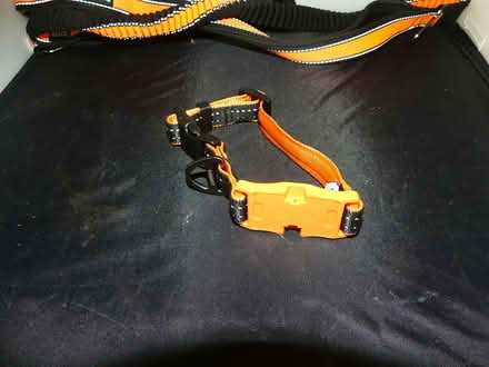 Photo of free Pawfit Dog Harness, Collar and Lead + Whistle & Clicker (Freshbrook SN5) #3