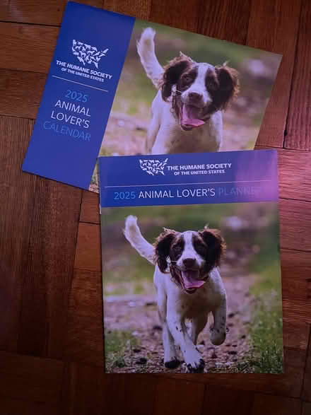 Photo of free 2025 planner & calendar (Mount Vernon) #1