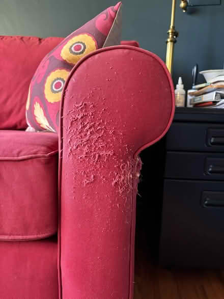 Photo of free Red Couch (Alexandria VA by MasonicTemple) #2
