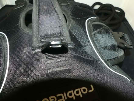 Photo of free Black Rabbitgoo Dog Harness, Training Lead & Whistle/Clicker (Freshbrook SN5) #2