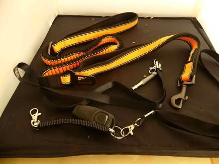 Photo of free Pawfit Dog Harness, Collar and Lead + Whistle & Clicker (Freshbrook SN5) #1