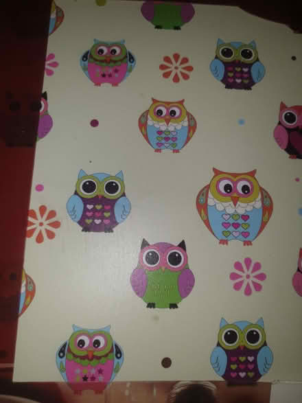Photo of free Set of 6 owl placemats, plastic coated (E8) #3