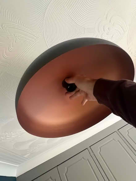 Photo of free Ceiling light shade (Orpington BR6) #1