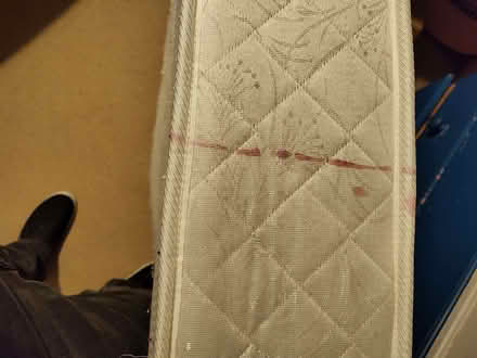 Photo of free single mattress (Wellington TF1) #4