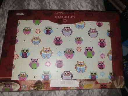 Photo of free Set of 6 owl placemats, plastic coated (E8) #4