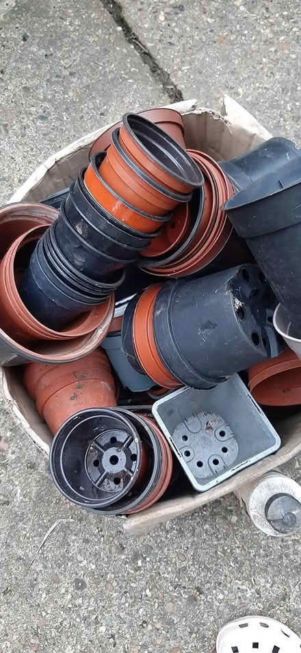 Photo of free Assorted Plastic flowerpots (IP3) #1
