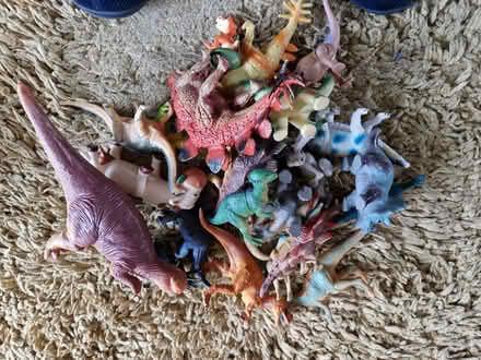 Photo of free Loads of dinosaurs π¦ (Crewe CW2) #1