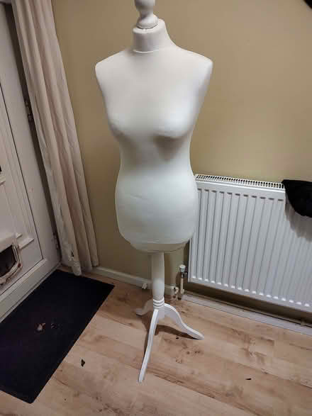 Photo of free Dressmaker's mannequin (Wellington TF1) #1
