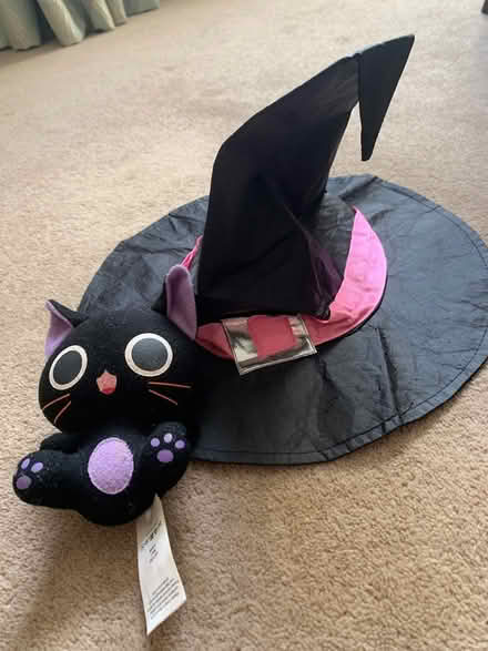 Photo of free Halloween Witch outfit 3-4year (New Haw, KT15) #4